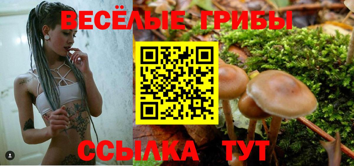 Галлюциногенные грибы Psilocybine cubensis  цены наркотик  Усолье-Сибирское  Вход с VPN 