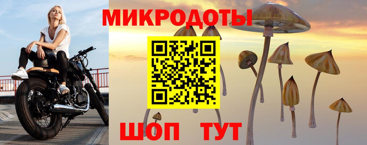 Псилоцибиновые грибы Psilocybine cubensis Усолье-Сибирское